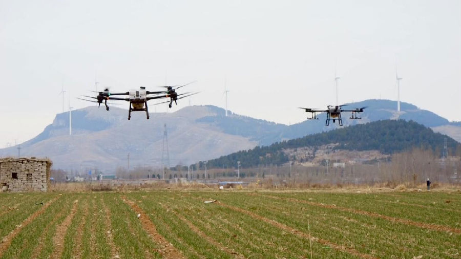 无人机作业（张静 摄）