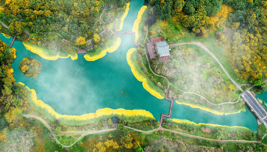 “水上童话森林”桤木河湿地公园 （陈崇 摄）