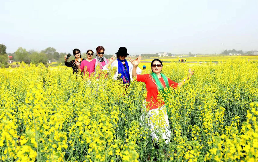 游客在油菜花海中打卡留念 （张兆宇 摄）
