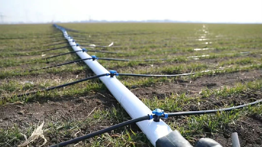 微喷灌（穆姝琪 摄）