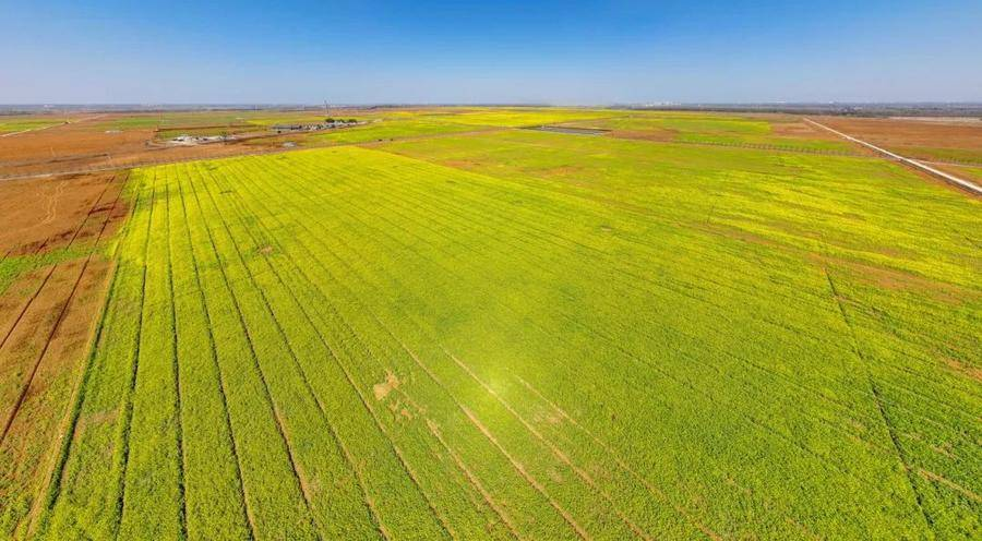 农场一景（葛庆钊 摄）