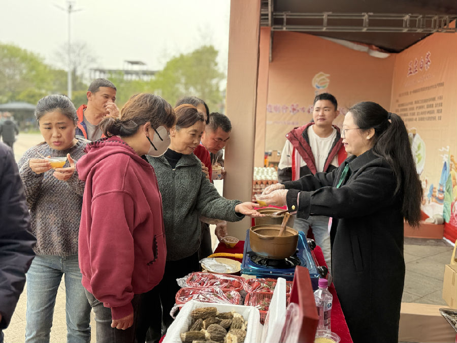 游客现场品尝鲜美可口的阳新羊肚菌汤（黄晶晶 摄）