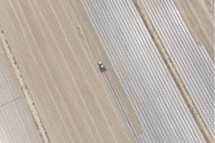 棉花播种现场（谢超 摄）