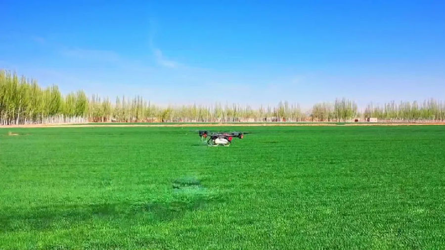 植保无人机在打药作业中（艾热提 摄）