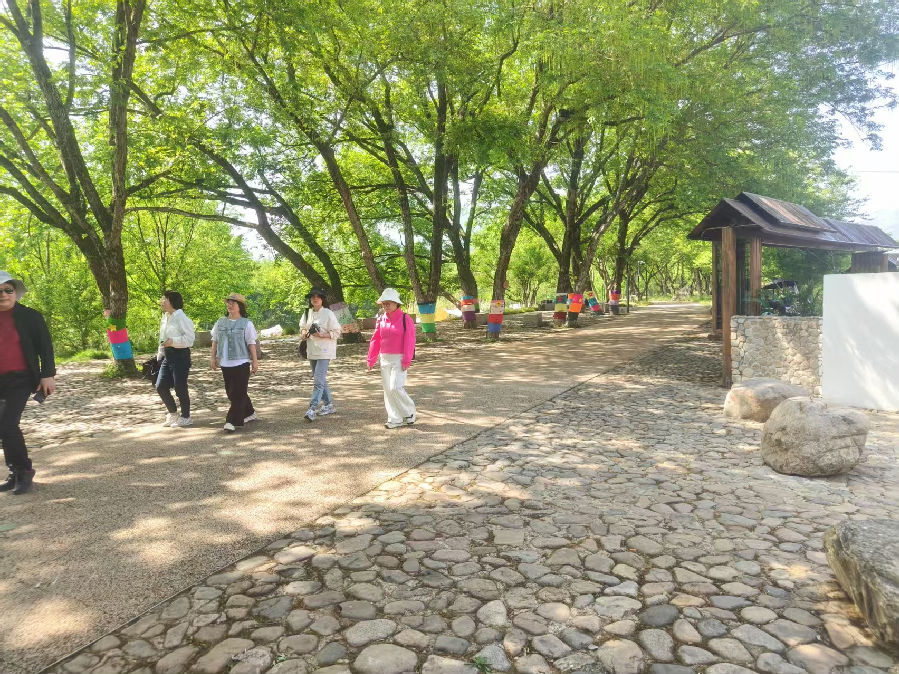 楠溪江畔镬炉村域林间小筑研学基地门口的漫步绿道一览（曾庆华 摄）
