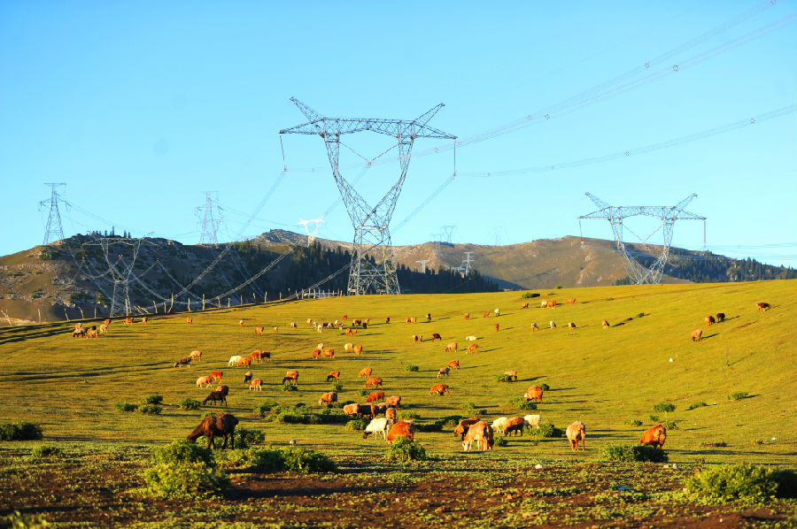 伊犁—博州—乌苏—凤凰750千伏Ⅱ回输变电工程经过蒙玛拉森林公园。（马元 摄）