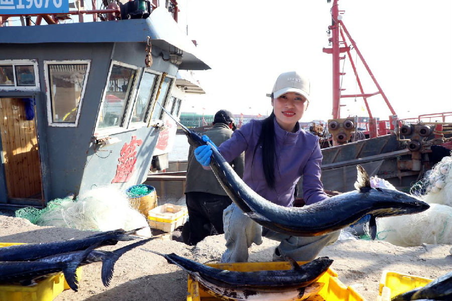 赣榆区海头港渔业码头，渔民展示捕获颇 （张南宁 摄）