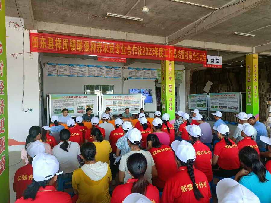 联强合作社年度工作总结暨社员分红大会 （李沛坤 摄）