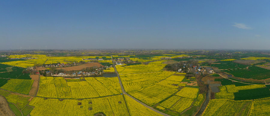 杨河镇全域国土综合整治项目区（冯璇 摄）