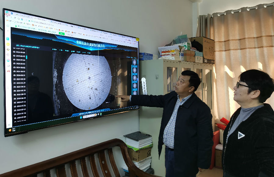 农技人员在办公室农作物病虫害远程监测系统电子屏上分析虫情数据（王奇 摄）