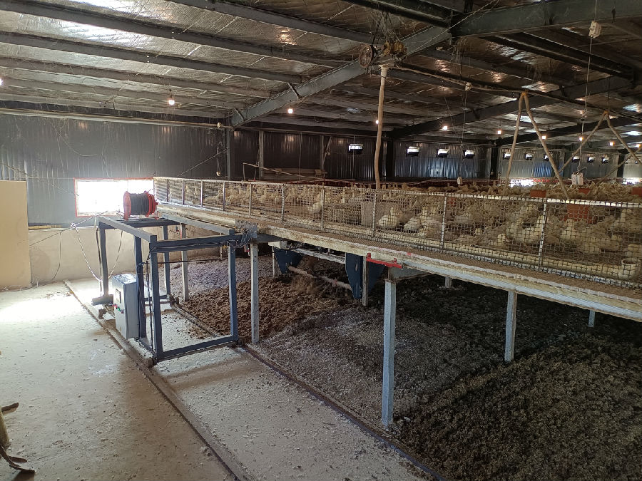 悬挂式智能翻靶机（应诗家 摄）