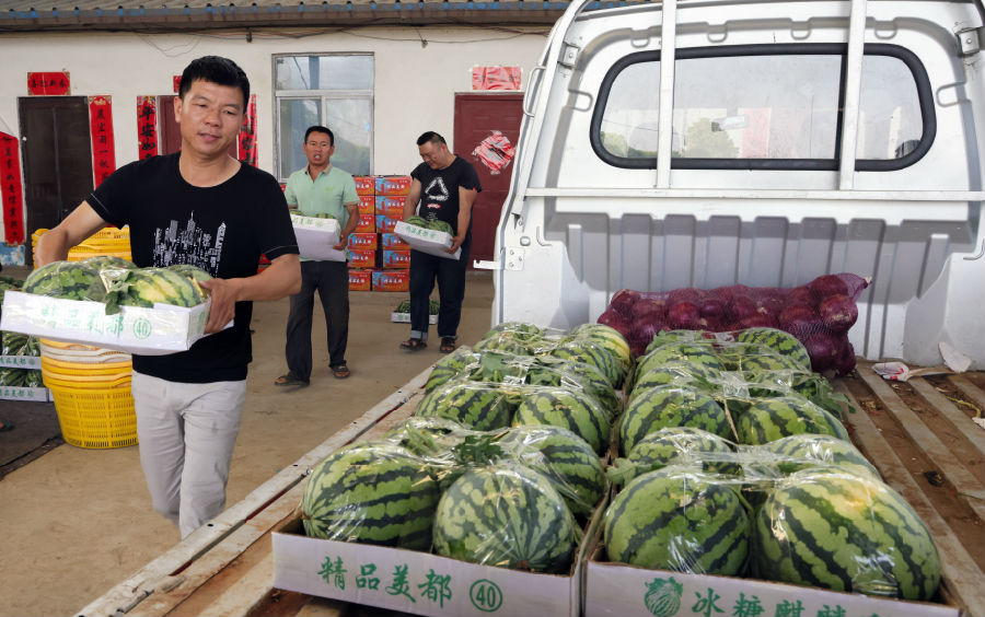 图为西瓜装车（李勤 摄）