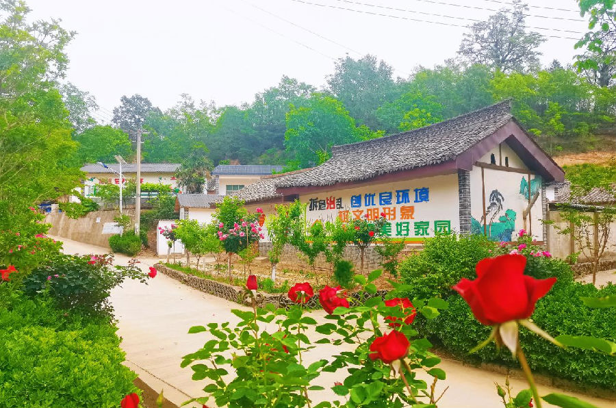 繁花锦簇的美丽家园（燕比翼 摄）