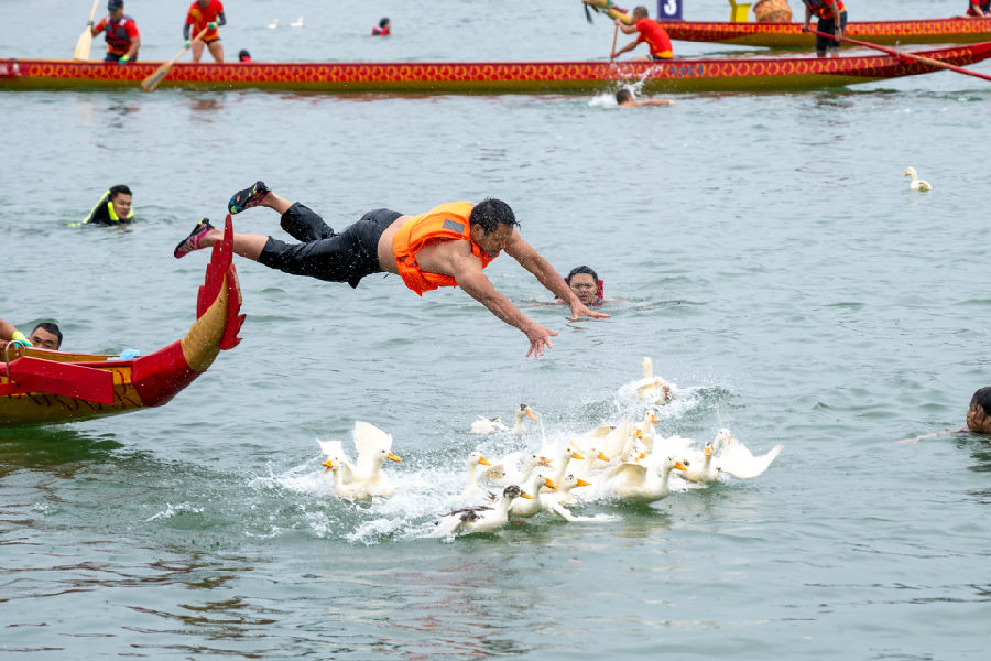 抢鸭子活动精彩纷呈（任冠金 摄）