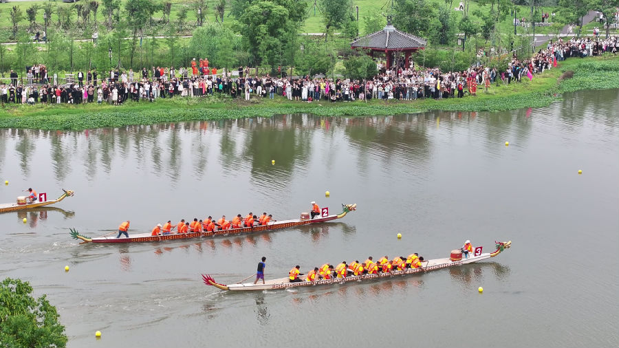 船头鼓手槌落如雨，划桨健儿齐心发力（宋博 摄）