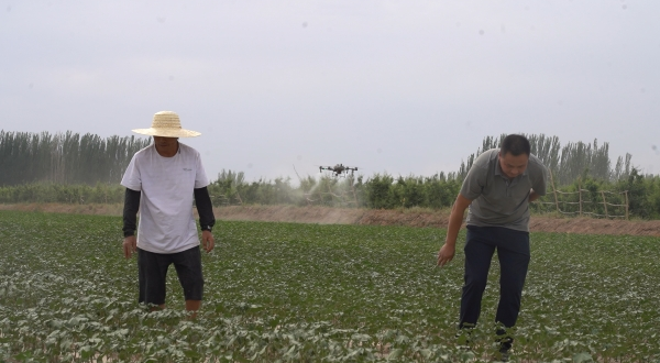 合作社负责人和种植户正在查看棉花长势（艾海提·毛勒吐尔迪 摄）
