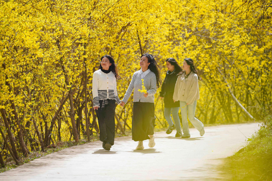 成县乡村美景吸引游客旅游体验（陈争强 摄）