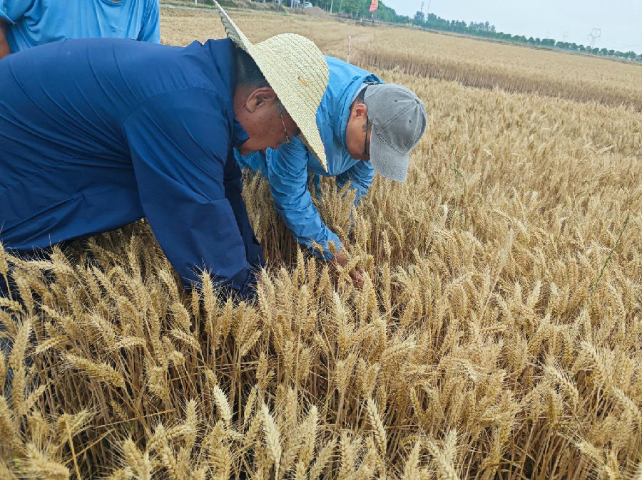 测产现场（刘作霖 摄）