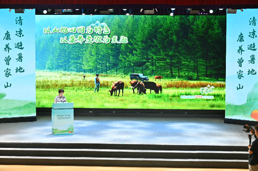 会议现场（冉金鹭 摄）