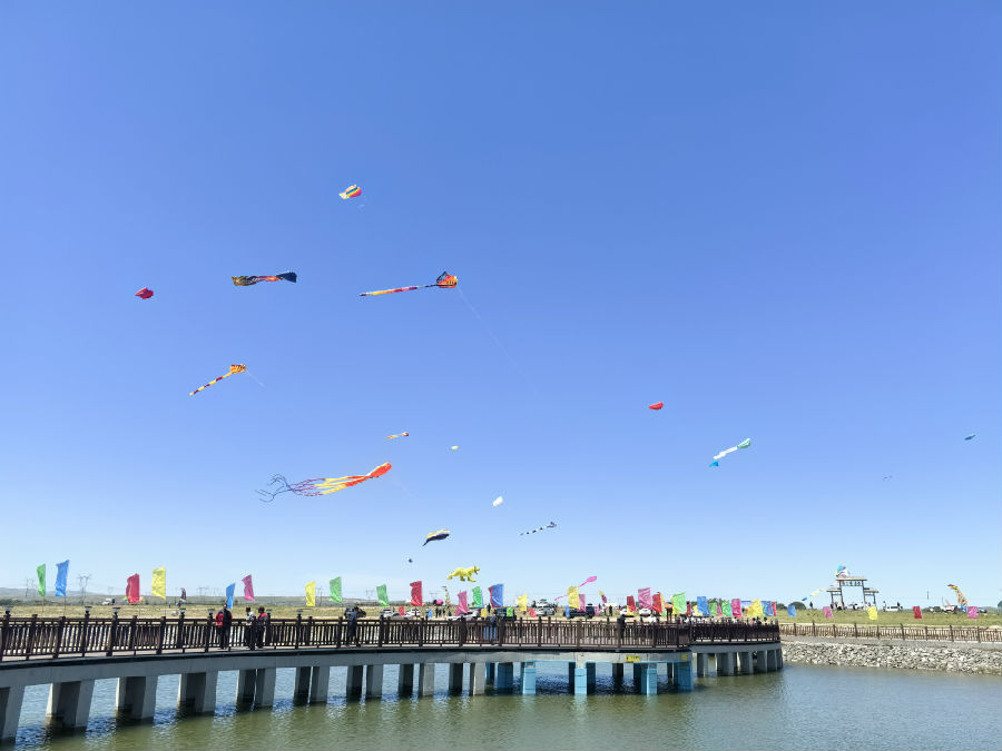 比赛现场（李旻 摄）