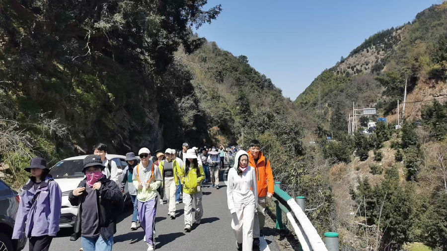 游客在赵家镇宣家山村黄坑自然村进山的路上（宣泉均 摄）