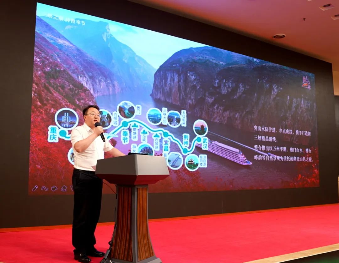 吴涛作主旨演讲（段超 摄）