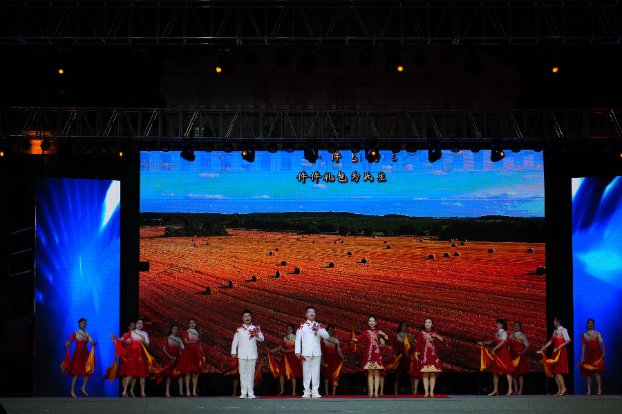 现场节目表演（杨皓楠 摄）