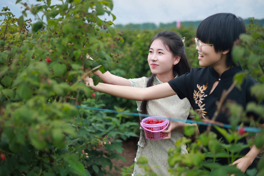 活动现场（赵彤摄）