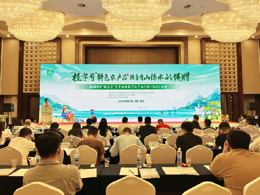 活动现场（陈柯蓉 摄）