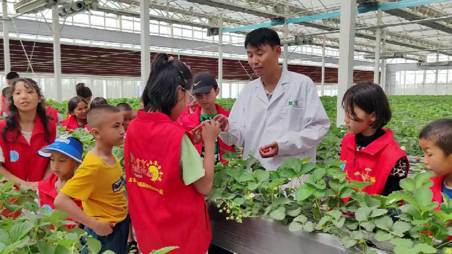 孩子们在甬库同心村智慧农业植物工厂参观。（克德尔娅·艾买提 摄）