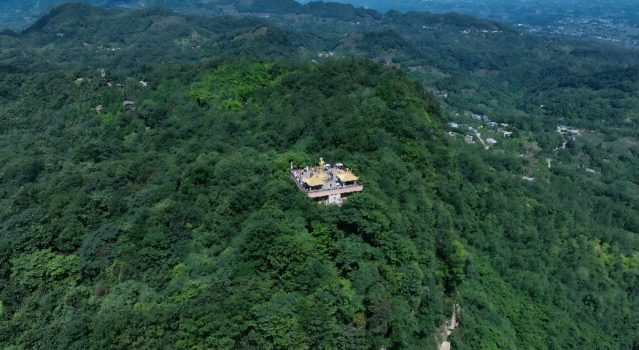 活动现场（王方豪 摄）