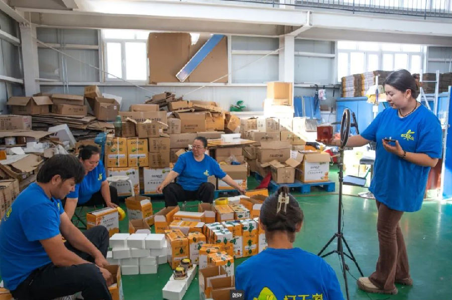 柯坪县“无限福乐”农民专业合作社工作人员正在直播并装箱打包（地拉吾尔 摄）