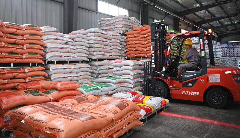 工人正在转运订单饲料（周亮 摄）