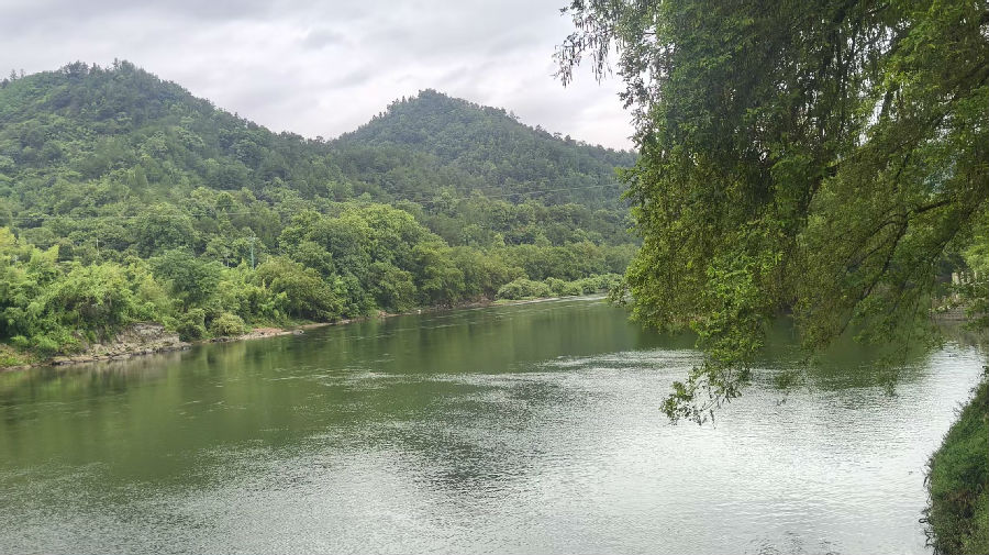 九龙国家湿地公园一景（曾庆华 摄）