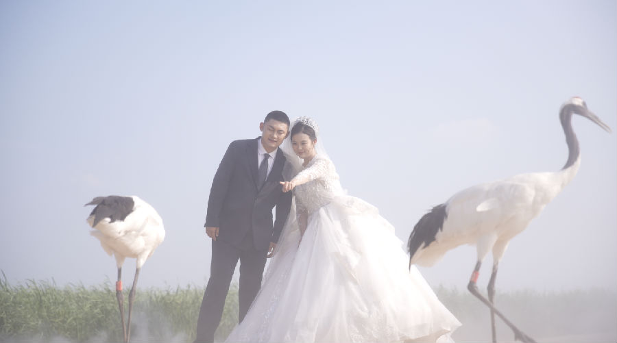 通榆县2025年“我心向海·最美七月”主题文旅系列活动启幕（苑望 摄）