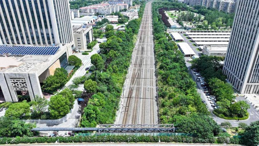 黄山路合九铁路桥高铁沿线绿意盎然（洪志义 摄）