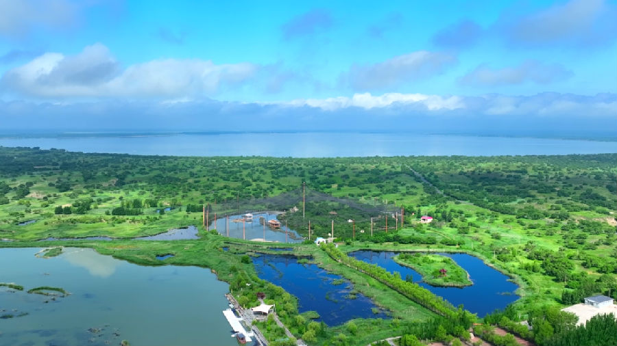 通榆县2025年“我心向海·最美七月”主题文旅系列活动启幕（苑望 摄）