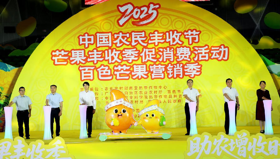 中国农民丰收节芒果丰收季促消费活动百色芒果营销季正式启动（邓蕾雅 摄）