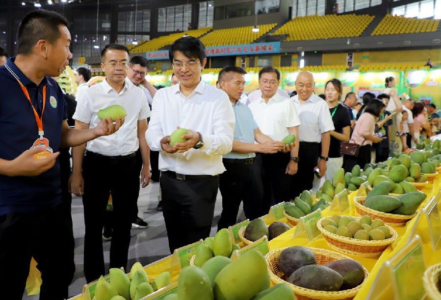 参观芒果展区（邓蕾雅 摄）
