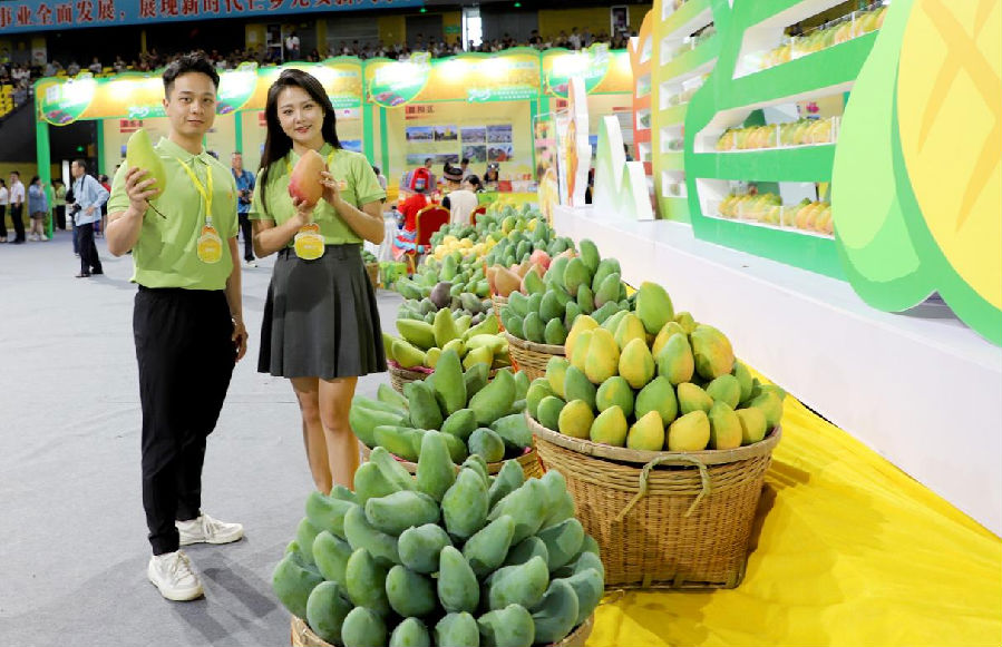 活动现场推介（邓蕾雅 摄）