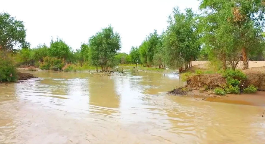 阿瓦提县引洪灌溉现场（麦吾兰江·莫明 摄）