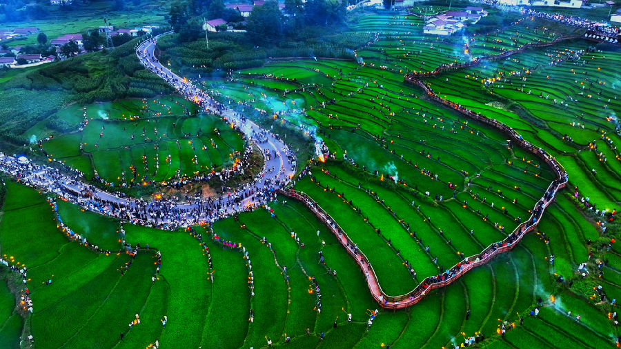 “梯田星火”稻田火把秀（林建江 摄）