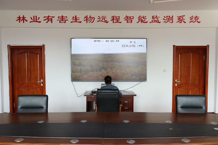 韩家园林业局有害生物远程智能监测系统在实时监测记录（于建 摄）