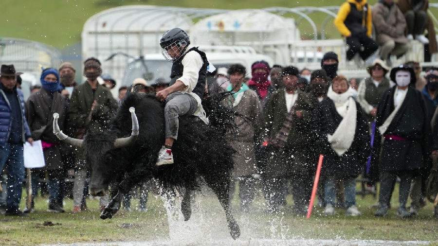 赛事精彩瞬间（严易程 摄）