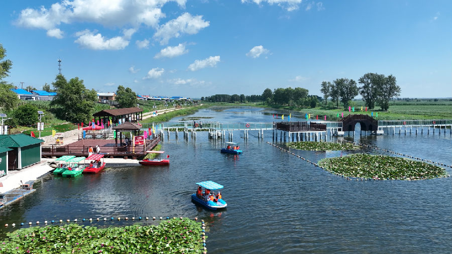 黑河市爱辉区“塞北荷塘”游客游船赏湖航拍（王勇 摄）