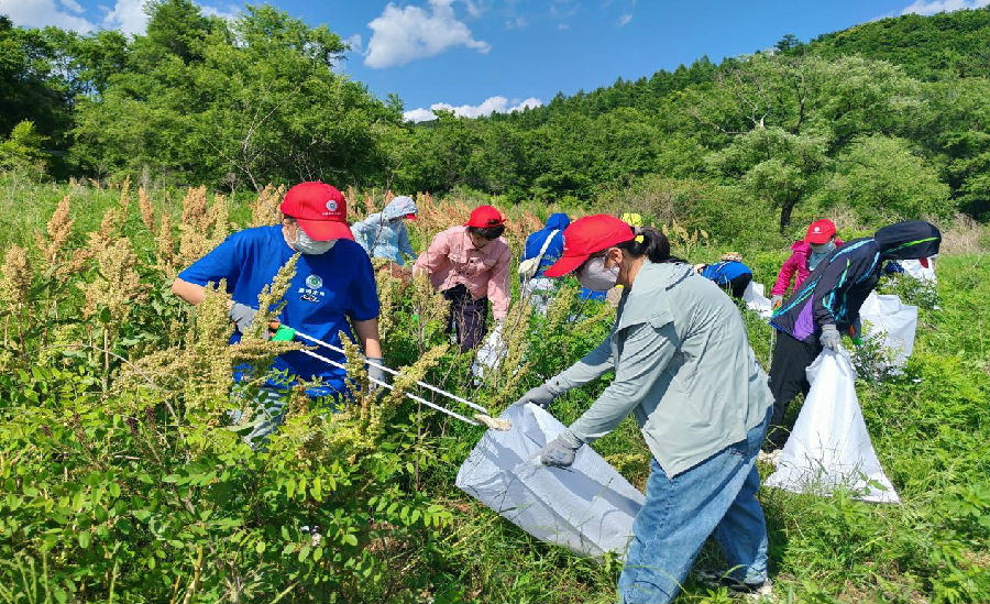 活动现场（朱丽娜 摄）