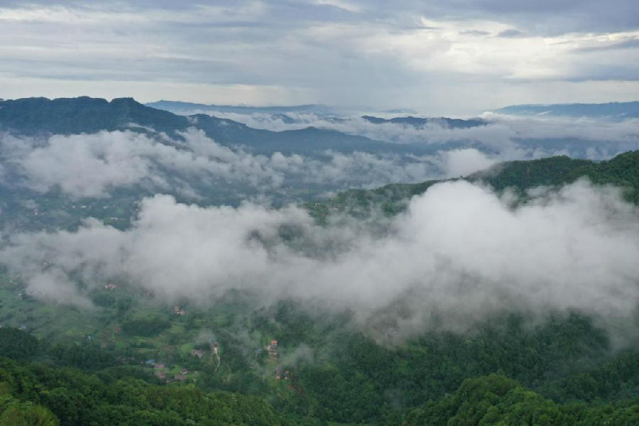苍溪县三溪口国家森林公园（徐咏秋 摄）