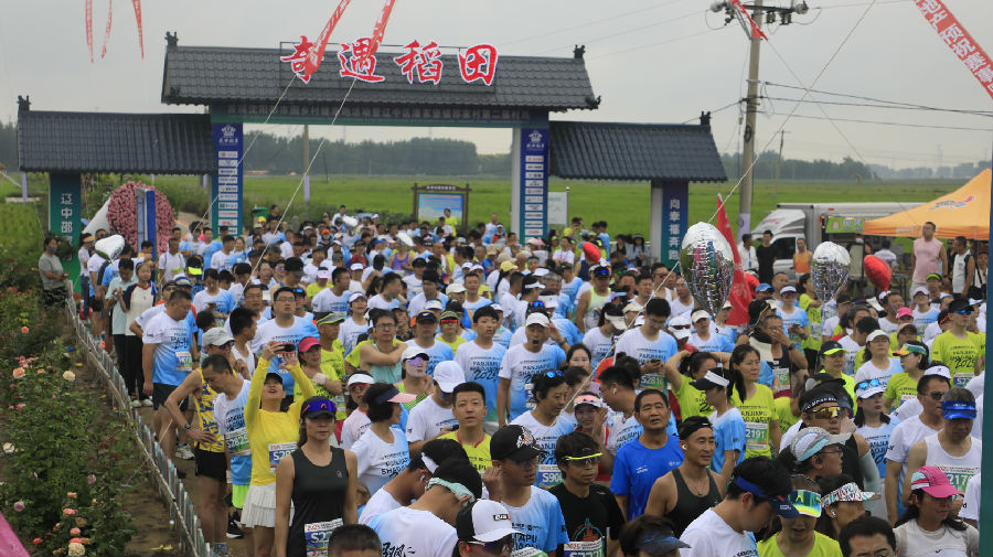 活动现场（张芷豪 摄）