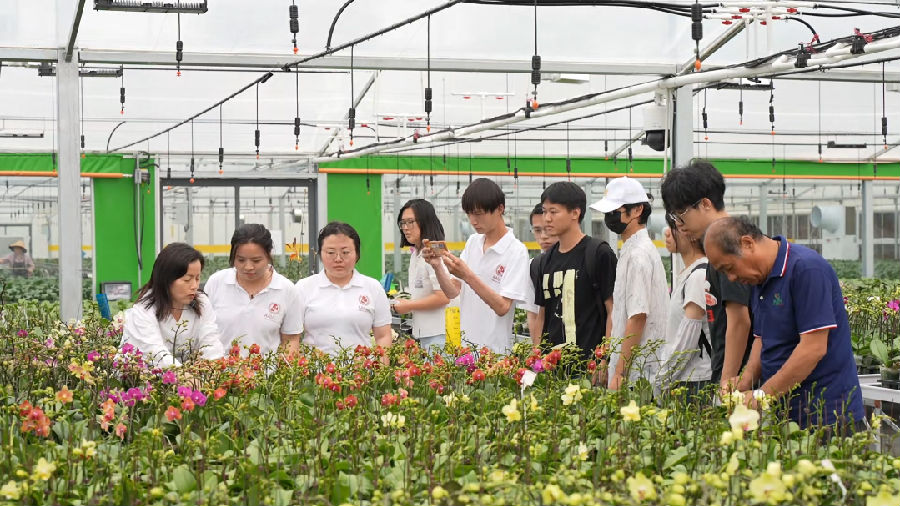 科技小院现场（卢杰 摄）