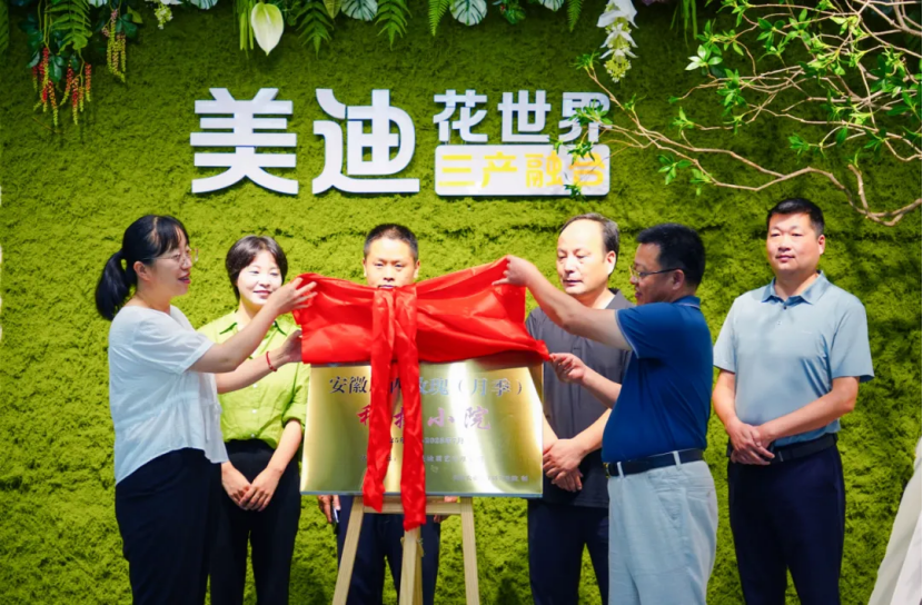 揭牌现场（卢杰 摄）